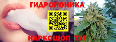 амф Шебекино