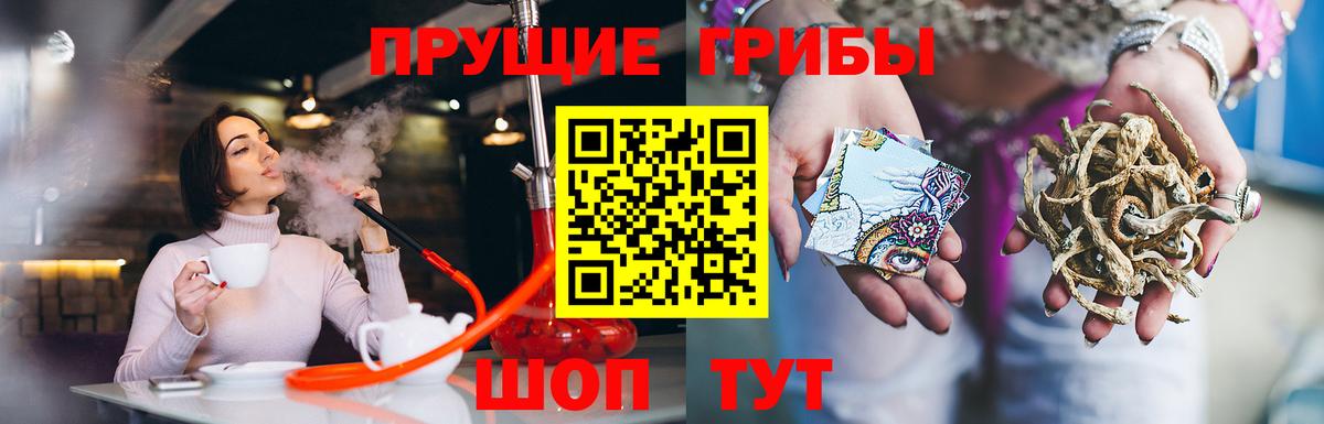 Псилоцибиновые грибы Psilocybe Анапа