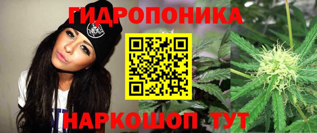 Бошки марихуана гибрид  МАРИХУАНА сатива  Анапа  Канабис SATIVA & INDICA  Вход с VPN  Каннабис AK-47 